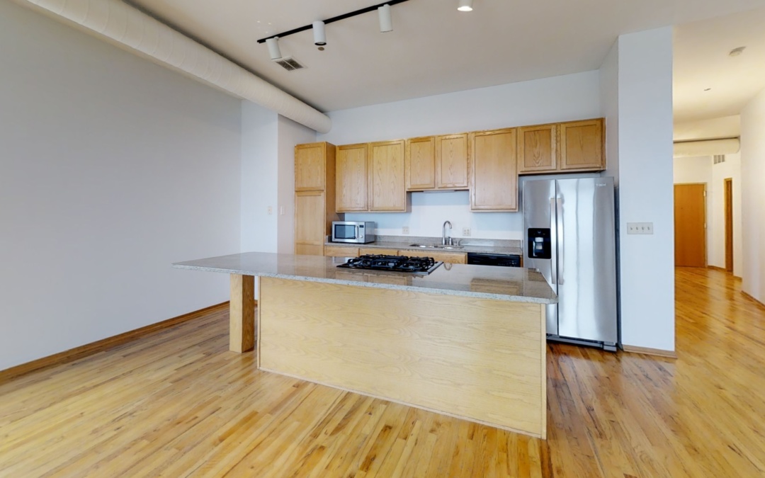 910 S. Michigan Ave #1001, Chicago