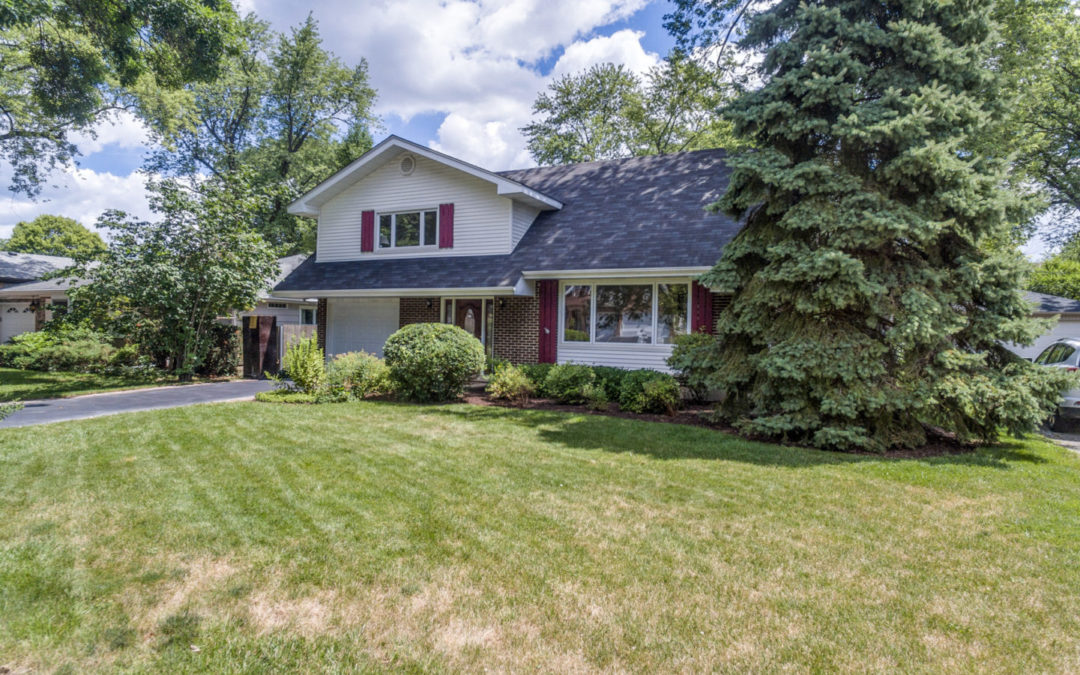 411 S Benton St, Palatine