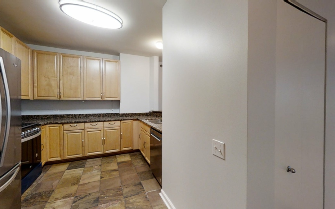 1111 S Wabash Ave (Unit 1001), Chicago